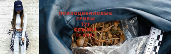 гашик Армянск