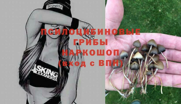МДМА Арсеньев