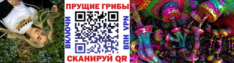 купить наркоту  omg зеркало  Псилоцибиновые грибы GOLDEN TEACHER  Среднеколымск 