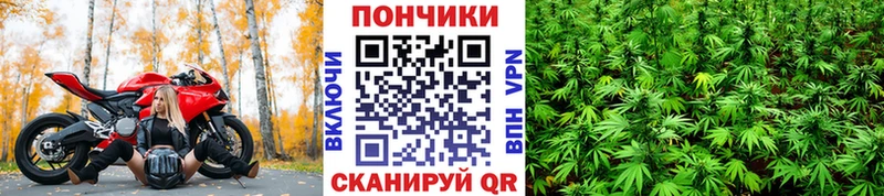 блэк спрут   Среднеколымск  Бошки марихуана тримм 